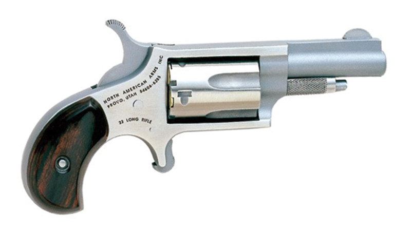 North American Arms Mini Revolver .22 LR 1.625" Stainless, Fixed Sights, 5-Round