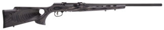 Savage A17 17 HMR Semi-Auto Rifle, 22" Heavy Barrel