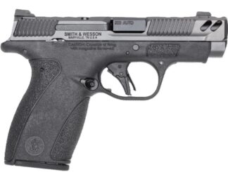 Smith & Wesson PC Bodyguard 2.0 .380 ACP Semi-Auto Pistol w/ Night Sights