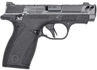 Smith & Wesson Bodyguard 2.0 .380 ACP Striker-Fired Pistol 3.1 in, Night Sights, Grey/Black