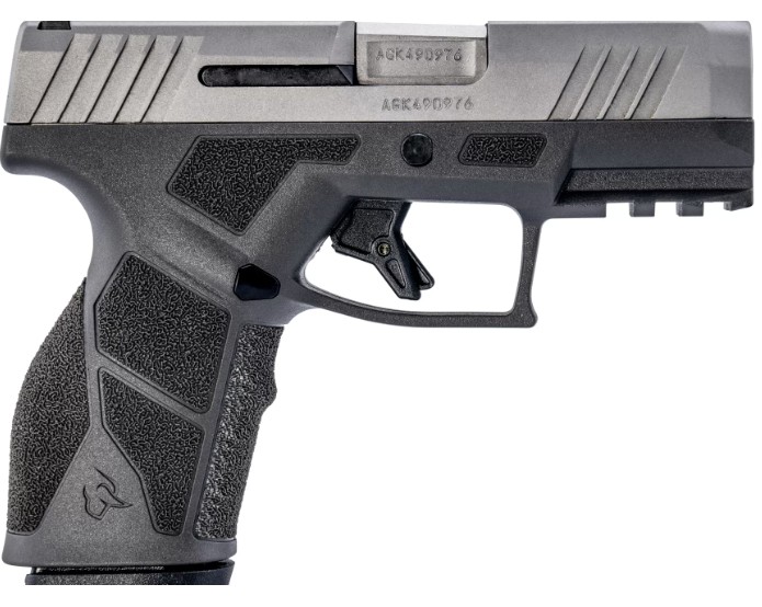 Taurus GX2 9mm Semi-Auto Pistol, Striker Fired, 3.38 in Barrel, 10+1 Rounds, Grey/Stainless