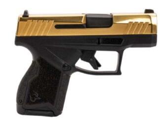 GX4 9MM 3.0" Blk/PVD Gold (2) 10rd