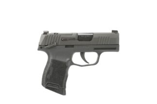 SIG Sauer P365 9mm 3.1 in Black OR Manual Safety Night Sights, (2) 10-rd Magazines