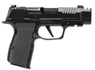 SIG Sauer P365 AXG LUXE .380 ACP 3.1 in Semi-Auto Striker-Fired, 12+1 Rounds, Black