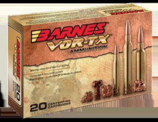 Barnes VOR-TX .450 Bushmaster 250 Grain TSX FB Tipped Triple Shock X (20 Rounds)