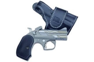 Bond Arms Rowdy XL Flag .45 Colt/.410 Bore 3.5 in Stainless 2-Round Derringer