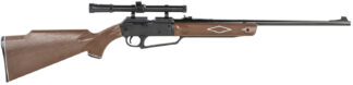 Daisy Powerline 880 .17 Caliber Pneumatic Air Rifle, 10.75 in Barrel, 1 Pellet/50 BB
