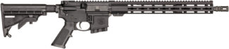 Smith & Wesson / S&W M&P 15 .223 REM/5.56 NATO 16 in Black