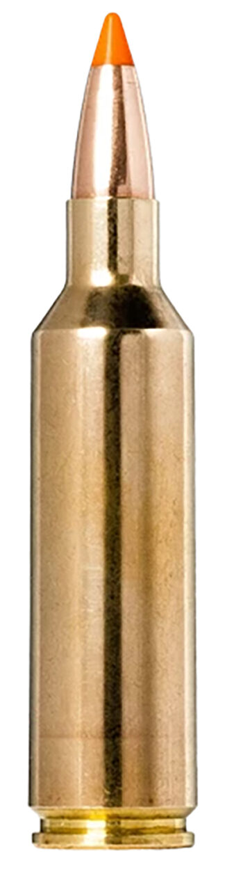 Norma .270 WSM 140 gr Tipstrike Rifle Ammunition