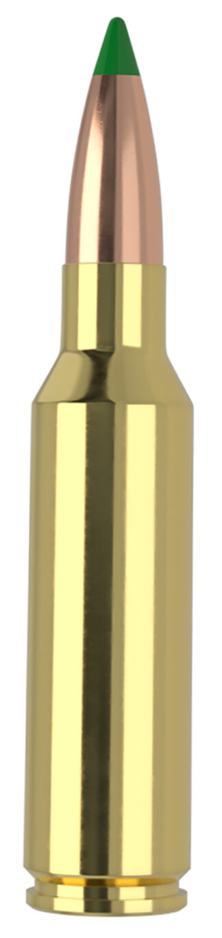 Nosler 300 WSM 165 gr Ballistic Tip Hunting Ammo, 20 Rounds