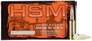 HSM Tipping Point 2 Super Shock Tip .300 Winchester Magnum 165 Grain SST