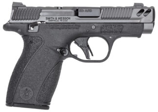 Smith & Wesson M&P Bodyguard 2.0 .380 ACP Striker-Fired Compact Pistol (3.1 in) Gray/Black