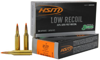 HSM 243 Winchester 85 gr Low Recoil Hunting Ammo with Orange Polymer Tip, 20 Rounds/Box