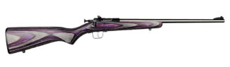 Davey Crickett Crickett KSA2228 Youth Single-Shot Bolt-Action .22 LR, 16 in, 1 Round