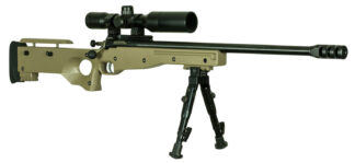 Davey Crickett Crickett Precision Rifle Bolt Action 22 LR, 16.12 in Threaded Bull Barrel, 1 Round