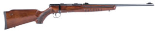 Savage B22G .22 LR Bolt Action 21in Matte Black with 10+1 Rounds Hardwood Stock