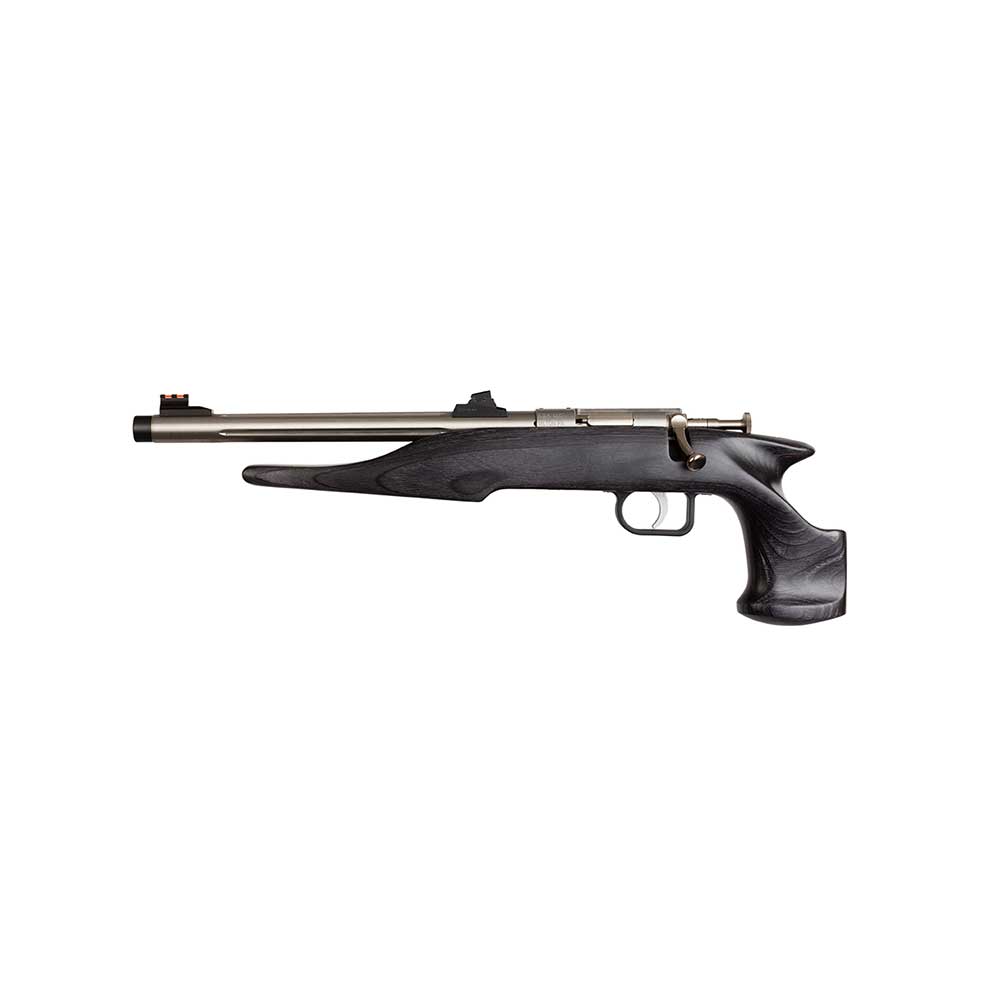 Davey Crickett Chipmunk 22 LR Single Shot 9 in Stainless/Black Laminate (1 Round)