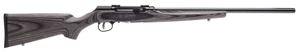 Savage A17 .17 HMR 22 in Semi-Auto Rifle