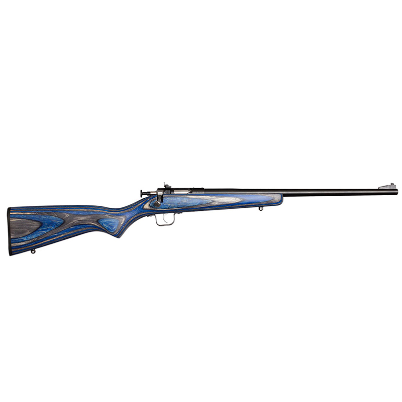 Davey Crickett Crickett Youth .22 LR Bolt Action 16.12 in Barrel 1-Round Blued/Blue Laminate