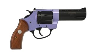 Charter Arms Pathfinder II Double Action/Single Action .22 LR 3.5 in 8-Round Revolver