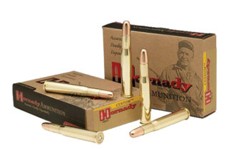 Hornady Dangerous Game 450 Nitro Express 480 gr Solid Brass 20-Round Box