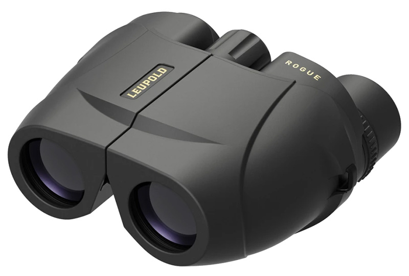 Leupold BX-1 Rogue Compact Binoculars 8x25mm Porro, Black