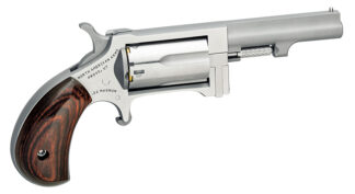 North American Arms Sidewinder SW250 Single Action .22 WMR 2.5 in Stainless 5-Round Fixed Sights