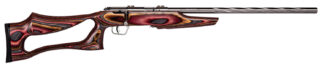 Savage Mark II BSEV .22 LR Bolt Action Rifle, 21in, 5+1, Satin Stainless