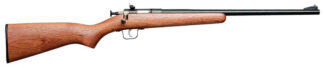 Davey Crickett Crickett Youth .22 Magnum Single-Shot 16.125 in Blued/Walnut