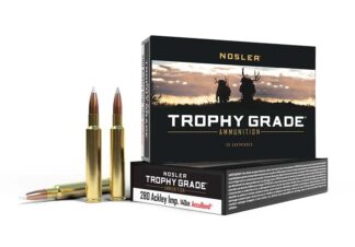 Nosler Trophy Grade .280 Ackley Improved 140-Grain AccuBond Ammo, 20 Rounds