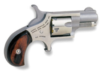 North American Arms Mini-Revolver .22 Short Single Action 1 1/8 in Stainless 5-Round Fixed Sights