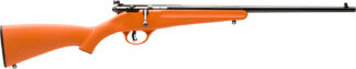 Savage Rascal 16.125 in Barrel .22 LR Bolt Action 1 Round