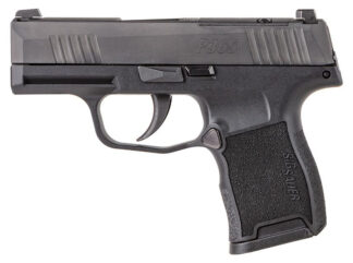 SIG Sauer P365 Nitron .380 ACP Semi-Auto 3.1 in Black Nitron Black Sights 10+1