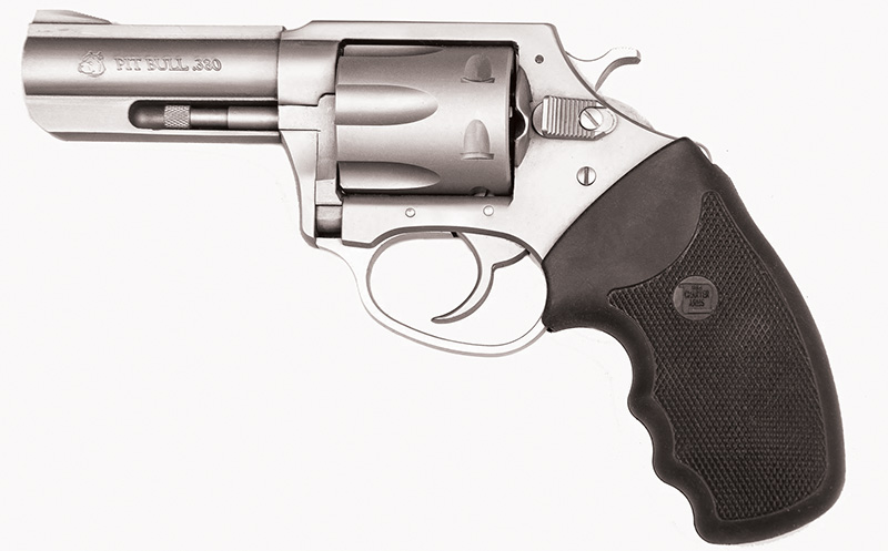 Charter Arms Pitbull .380 ACP 3" Stainless 6rd