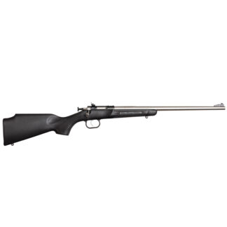 Davey Crickett Crickett Youth .22 LR 16.125 in Single-Shot Rifle, Stainless/Black Synthetic