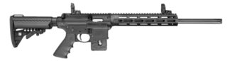 Smith & Wesson PC MP15-22 Sport .22 LR Semi-Auto 18 in Barrel, 10+1 Rounds