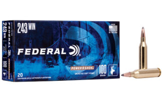 Federal PowerShok .243 Winchester 100gr Jacketed Soft Point, 20 Rounds