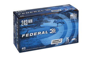 Federal American Eagle Varmint & Predator .243 Winchester 75 Grain Jacketed Hollow Point 40 Rounds