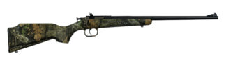 Davey Crickett Crickett Youth 22 LR Single-Shot Rifle, Fixed Front/Adjustable Rear Sights