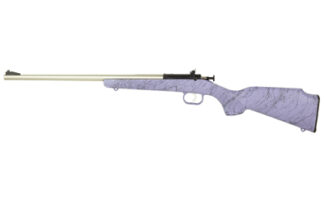 Davey Crickett 22 LR Single Shot Compact Rifle, 16.125 in Barrel, Purple Stock