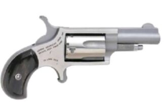 North American Arms Mini 22LR Single Action Revolver 1.625 in Barrel, Stainless, Fixed Sights, 5 Rounds
