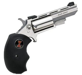 North American Arms BWC Black Widow 2 in Single-Action .22 LR Stainless Revolver, Fixed Sights