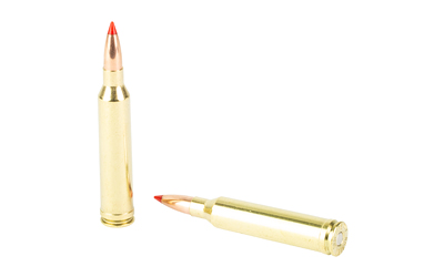 Nosler 7mm Remington Magnum 160 Grain Ballistic Tip 20 Rounds Per Box