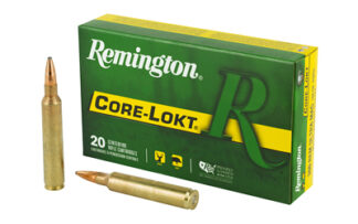 Remington Core-Lokt PSP .300 Remington Ultra Magnum 180 Grain Pointed Soft Point, 20 Rounds