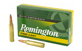 Remington Core-Lokt 7mm Remington Magnum 175 gr Pointed Soft Point (20 Rounds)