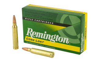 Remington Core-Lokt .300 Winchester Magnum 150 gr Pointed Soft Point (PSP) - 20 Rounds