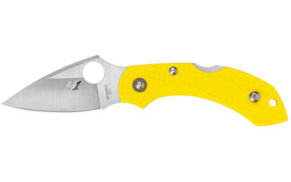 Spyderco Dragonfly 2 Salt Folding Knife