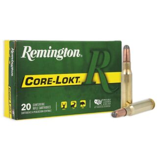 Remington Core-Lokt .308 Win 180 Grain Soft Point, 20-Round Box