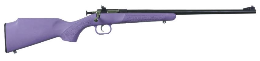 Davey Crickett Crickett .22 LR Bolt Action 16.12 in Barrel 1 Round Purple Synthetic