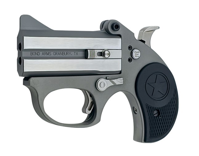 Bond Arms Stinger .22 LR 3 in Rough Matte Stainless Fixed Sights 2-Round